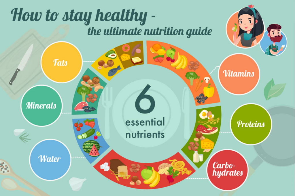 What Are The Essential Nutrients For Overall Health?