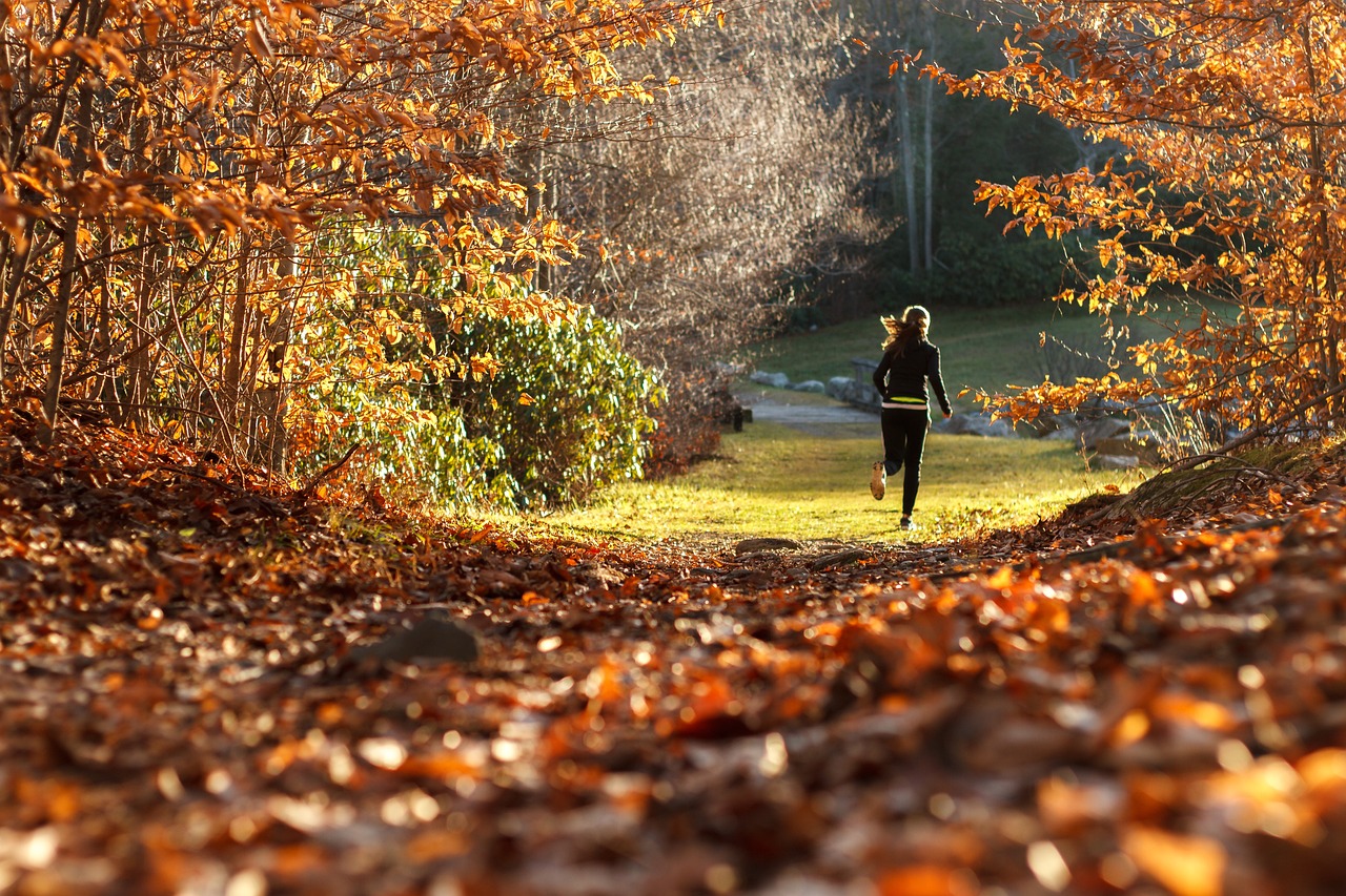 What are the benefits of establishing a regular sleep schedule for wellness?