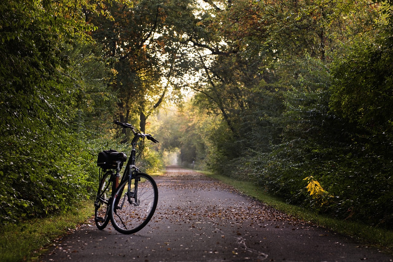 Stress-reducing hobbies like gardening in wellness routine