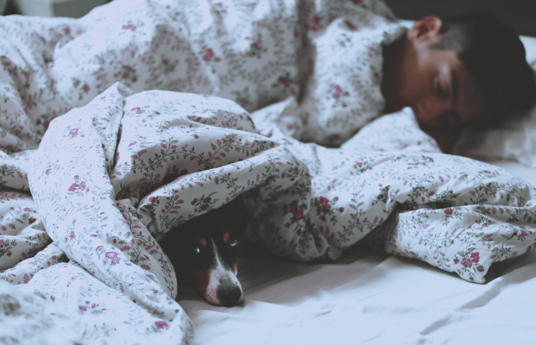 Dreaming Better: Enhancing Sleep Quality with Holistic Practices